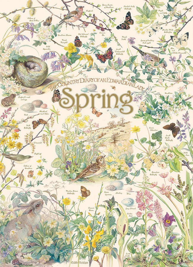 CH40092 COUNTRY DIARY SPRING (1000 PEZZI)