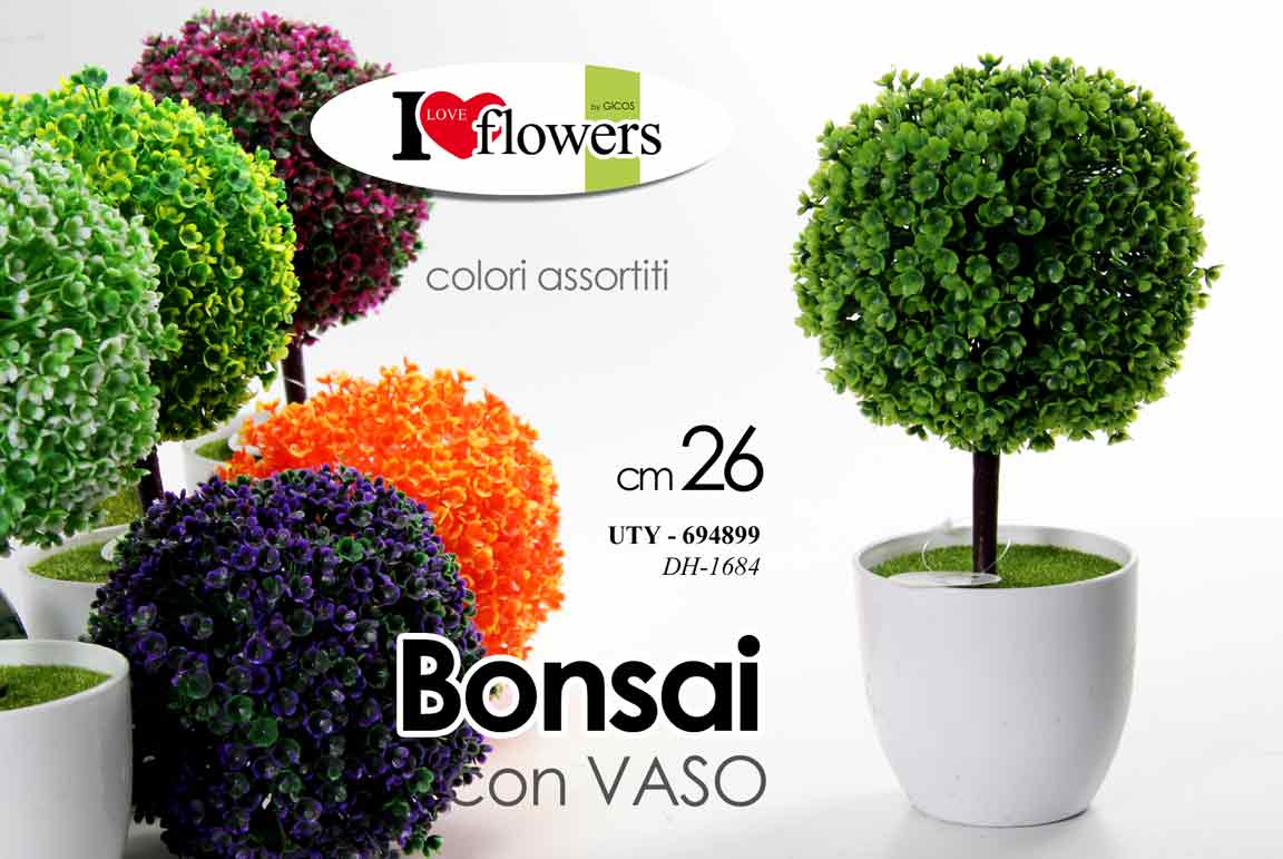 PIANTINA BONSAI ASS 26CM