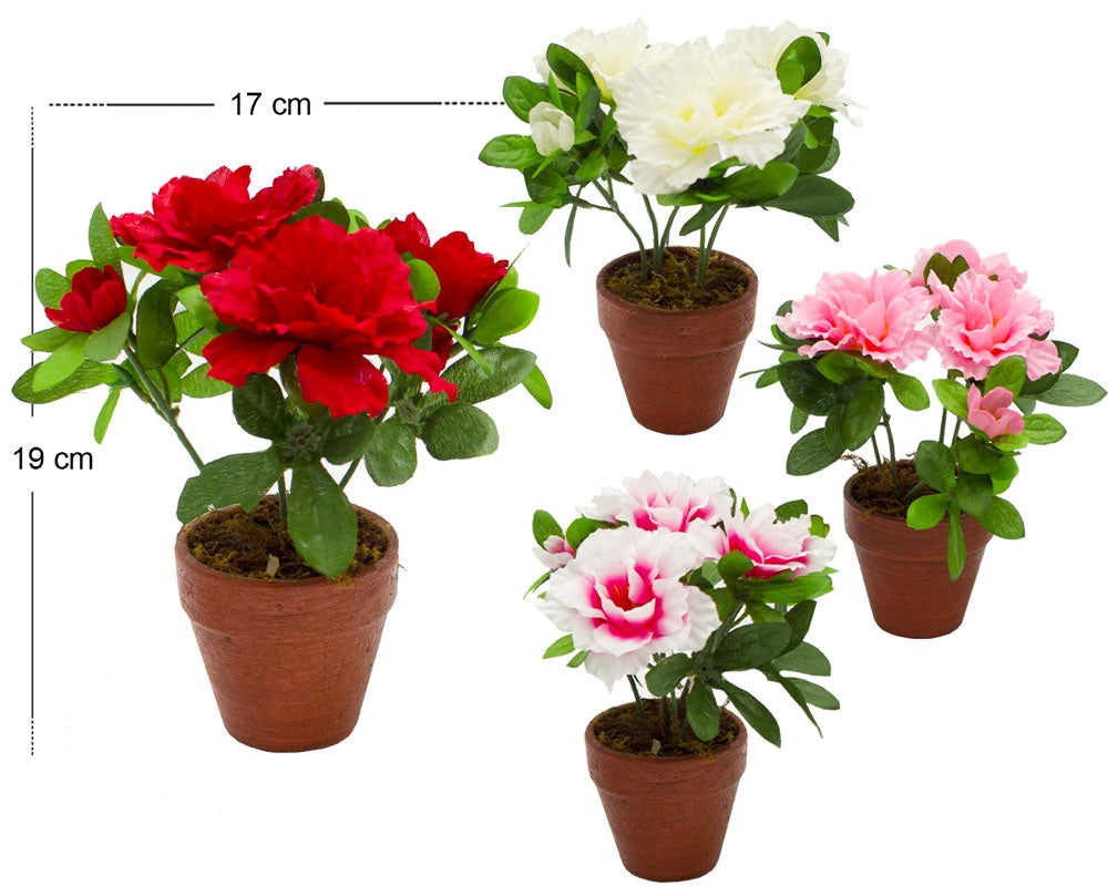 VASETTO AZALEA H19 17CM (GR.100CA)-BOX