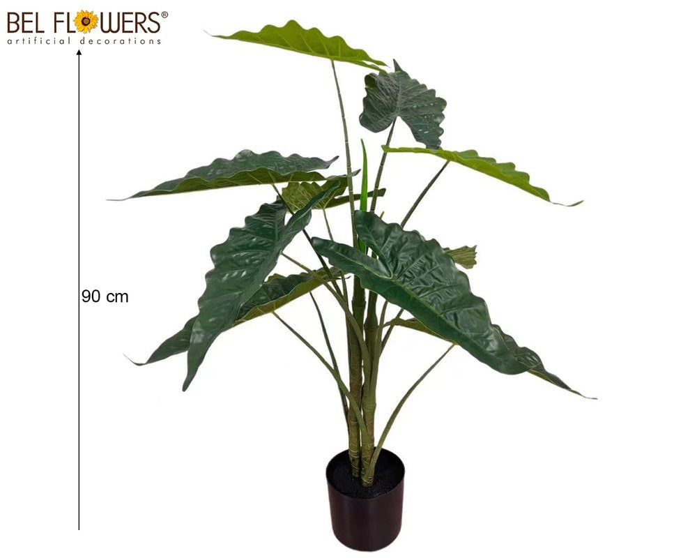 ALOCASIA 90CM 11 FOGLIE