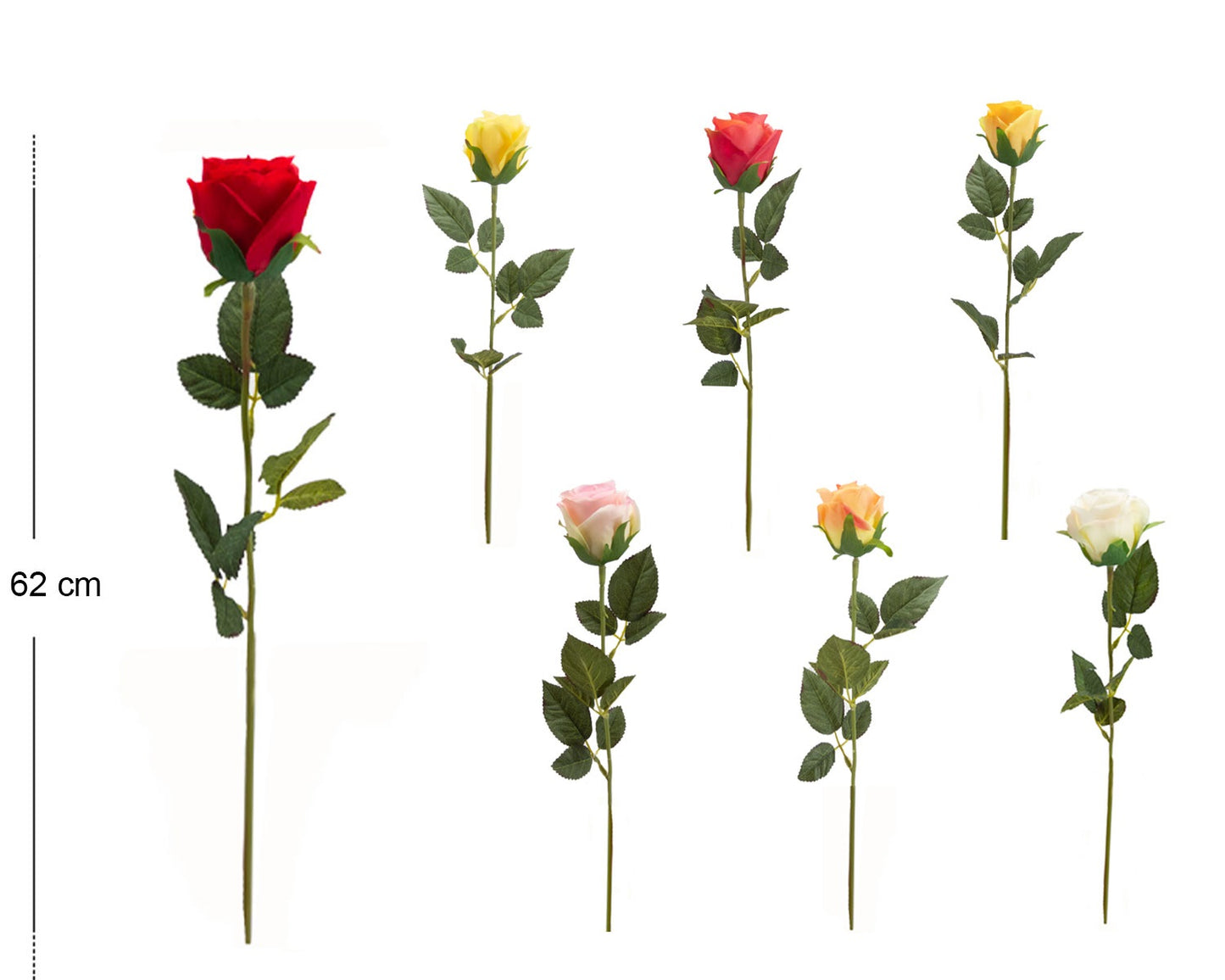 ROSA BOCCIOLO ELEGANT X 1 CM62 - BOX