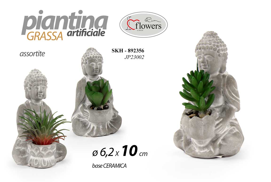 SKH/BUDDA PIANT GRAS AS 6,2*10 JP23002