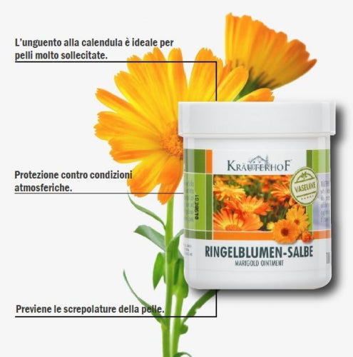 CALENDULA CON VASELINA 100 ml.