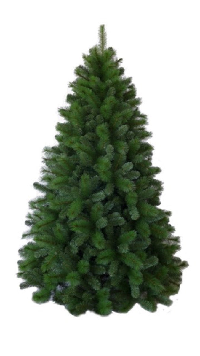 ALBERO CANADA CM.240 TIPS 1926