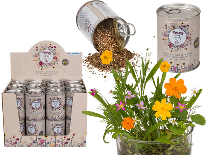 FIORE IN LATTINA, PRATO FIORITO, 24 PZ. PER DISPLAY