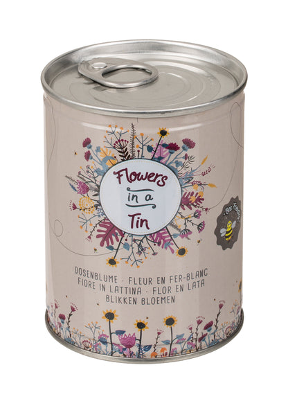 FIORE IN LATTINA, PRATO FIORITO, 24 PZ. PER DISPLAY