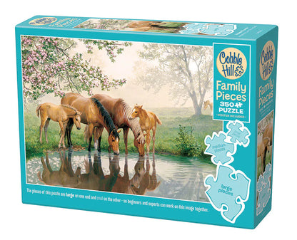 CH47025  HORSE FAMILY (350 PEZZI)