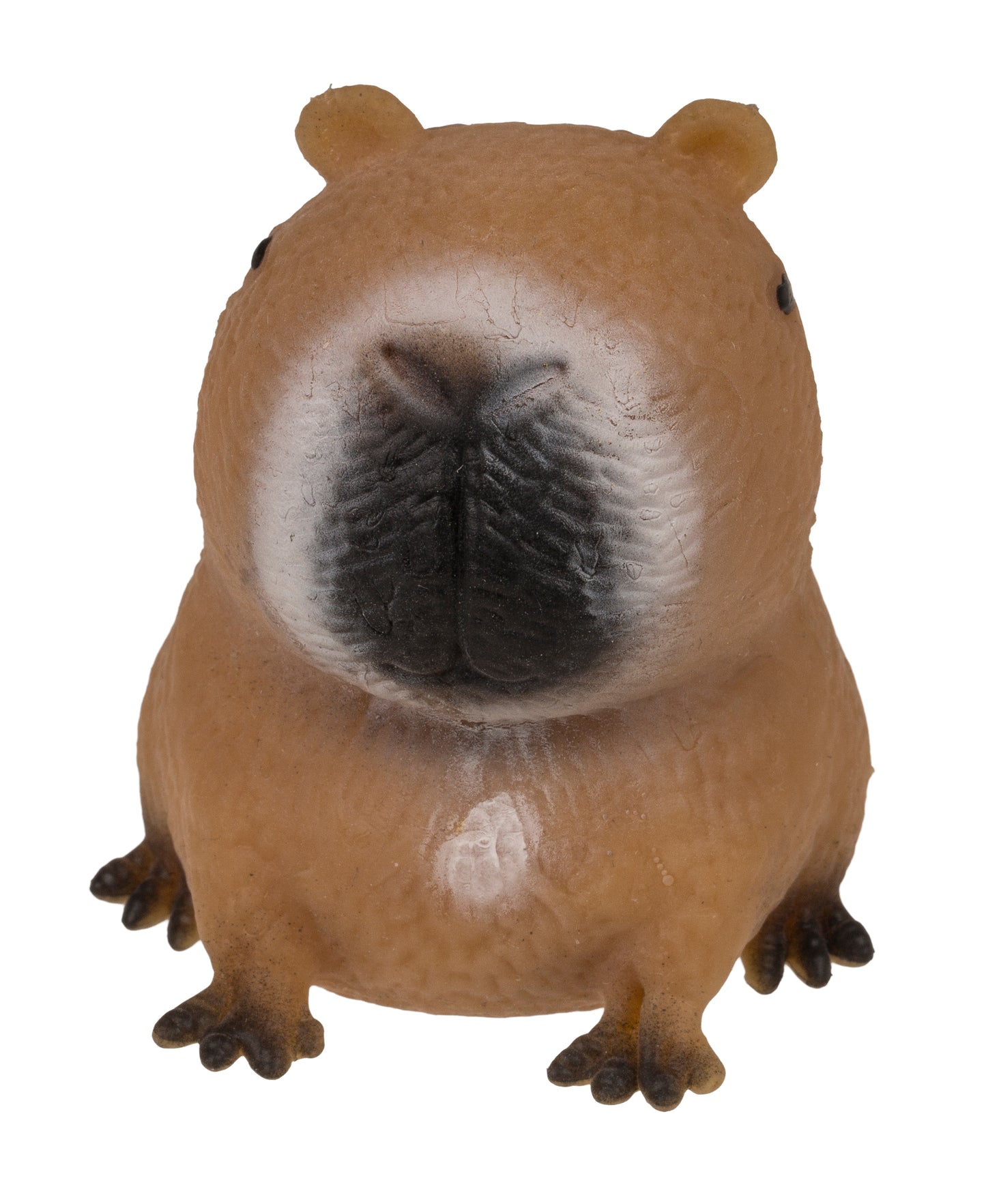 SQUEEZIE SAND, CAPIBARA DI CIRCA 6 5 CM, 12 PEZZI IN ESPOSIZ