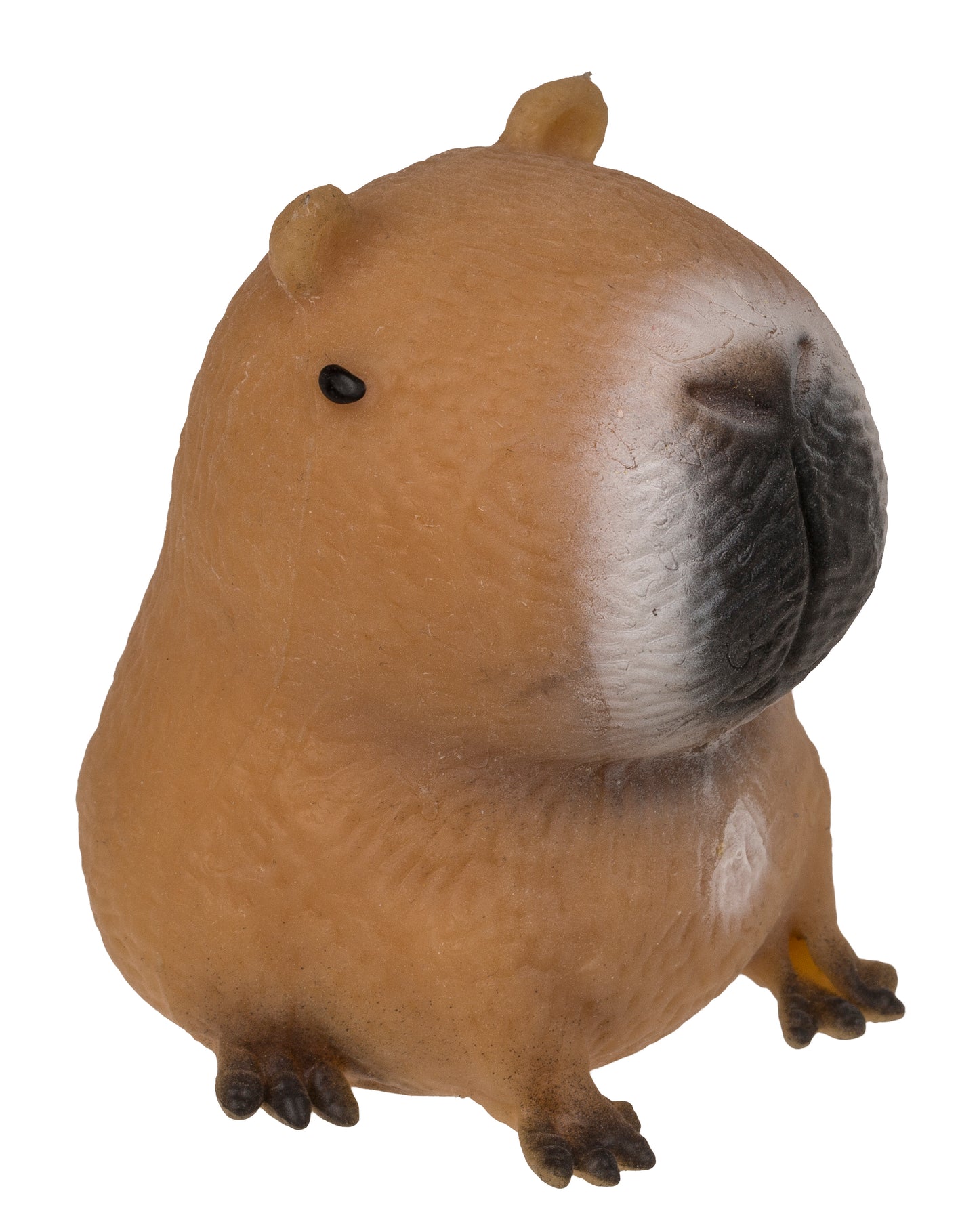SQUEEZIE SAND, CAPIBARA DI CIRCA 6 5 CM, 12 PEZZI IN ESPOSIZ
