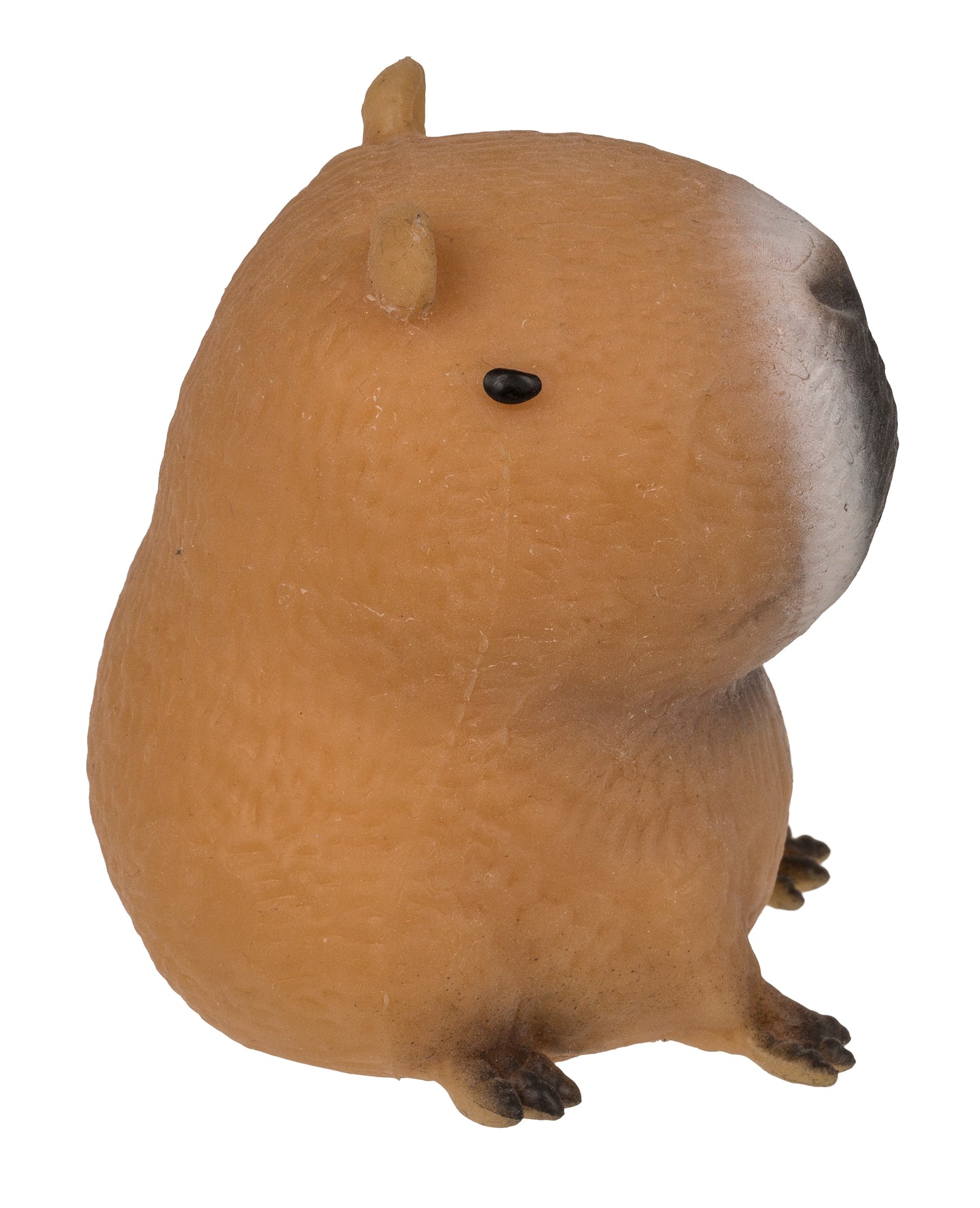 SQUEEZIE SAND, CAPIBARA DI CIRCA 6 5 CM, 12 PEZZI IN ESPOSIZ