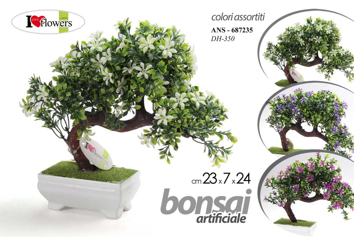 BONSAI ASS. 23*7*24