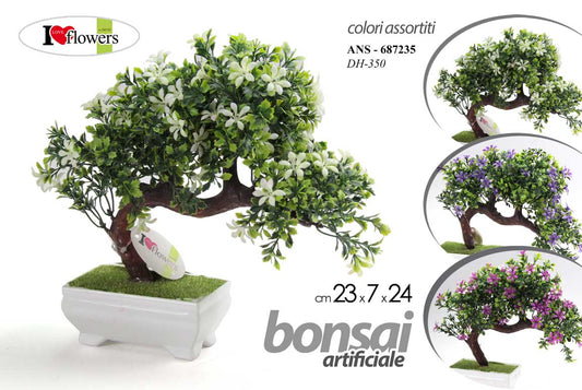 BONSAI ASS. 23*7*24
