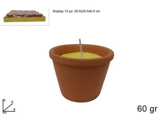 CITRONELLA 60 GR IN VASO COCCIO IN DISPLAY 2305040