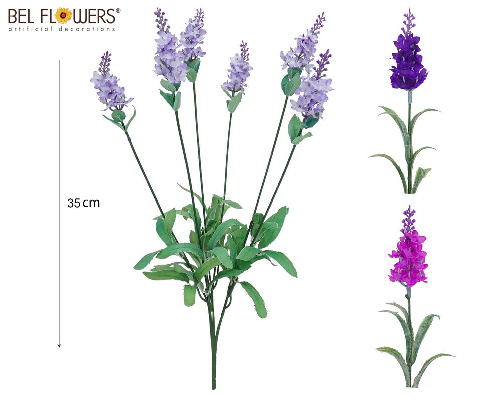 LAVANDA X 3 - BOX