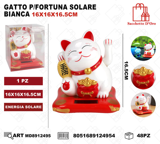 GATTO P/FORTUNA SOLARE BIANCA