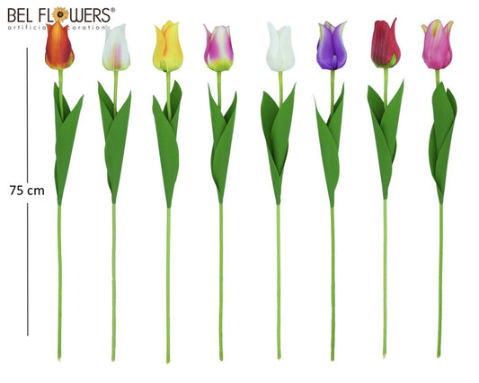 TULIPANO CLAUDIA CM 75 - BOX
