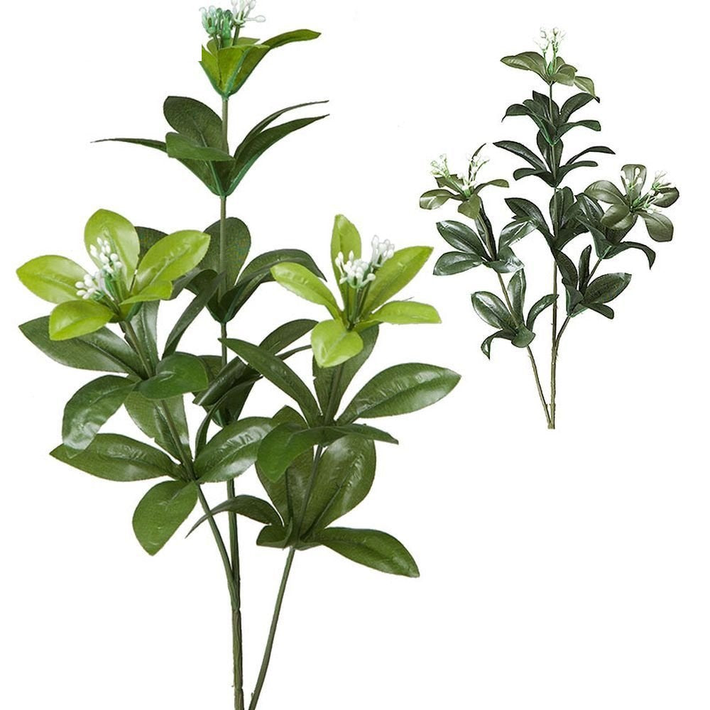 LAUREL SPRAY 50 LVS H65CM - BOX