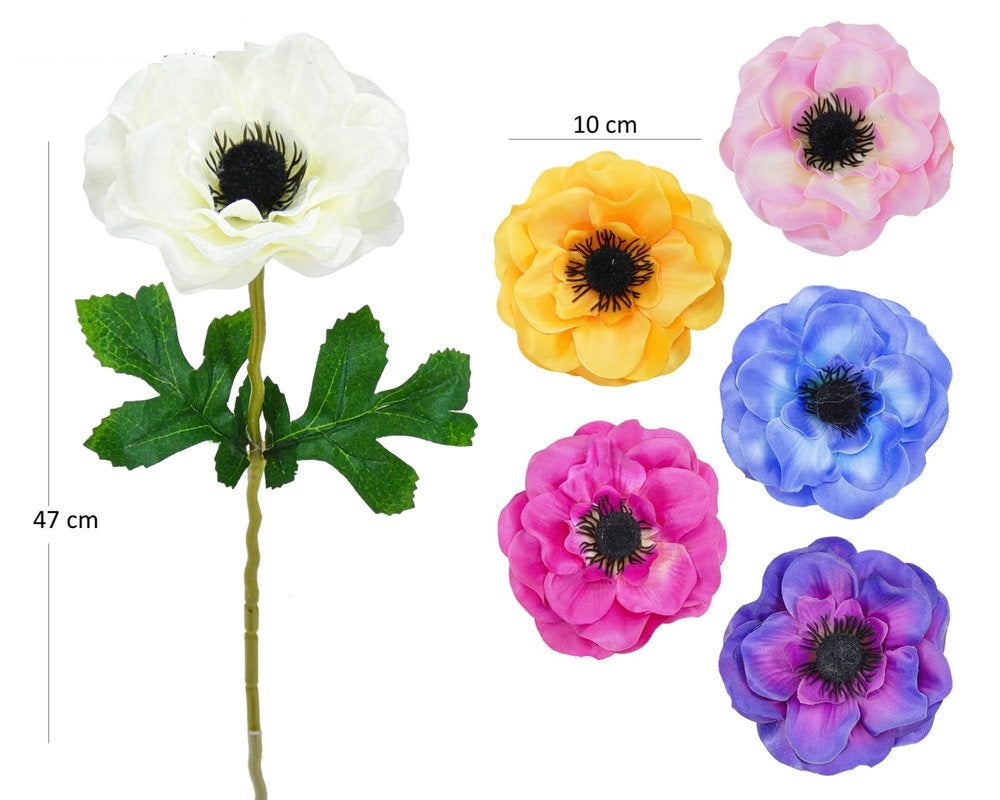 ANEMONE H47/D10CM - BOX