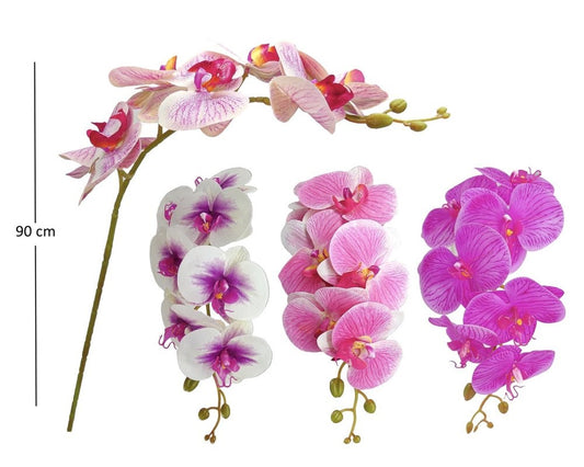 PHALAENOPSIS X7 H90CM ASS.- BOX