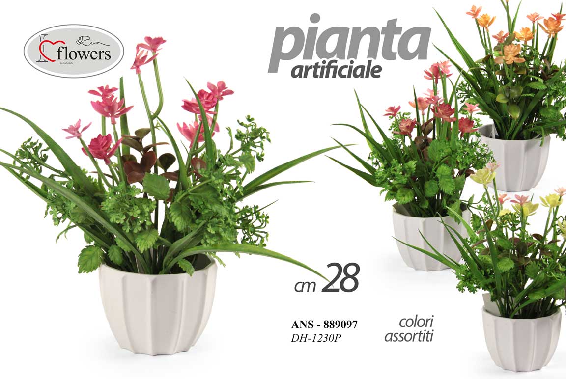 ANS/PIANTINA ASS 10*28CM DH-1230P