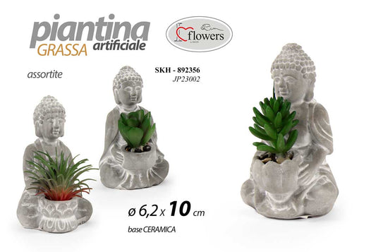 SKH/BUDDA PIANT GRAS AS 6,2*10 JP23002